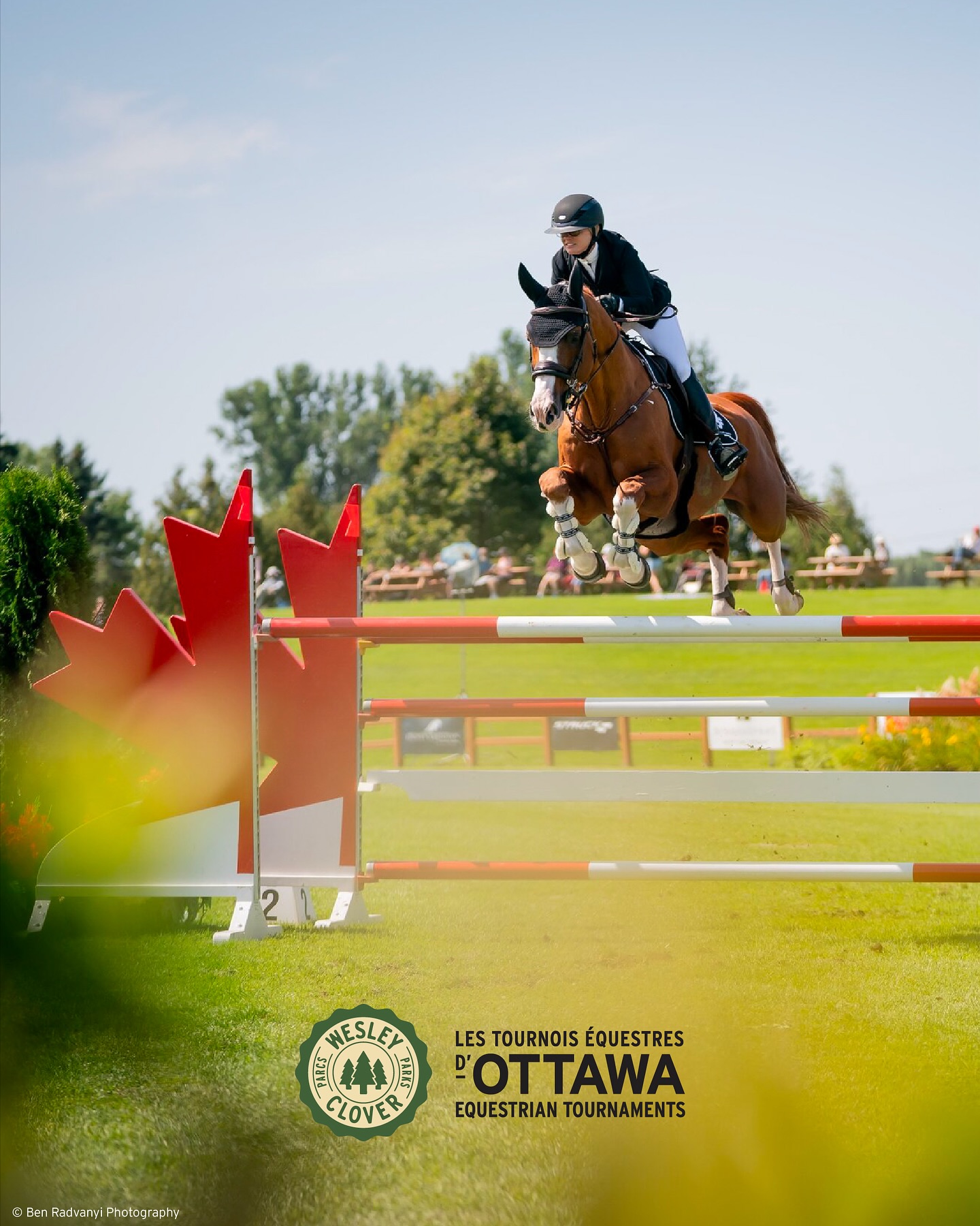 2026 Pre-Season Checklist: Are You Ring-Ready?!