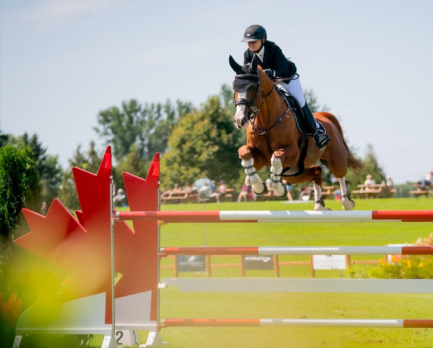 Get Ready for 2025! Ottawa Equestrian Tournaments Share Their Vision